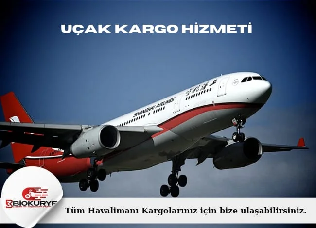 Uçak Kurye ve Hava Kargo — Bio Kurye