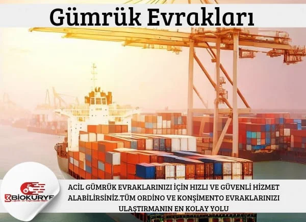Evrak, Gümrük ve Vize Kurye — Bio Kurye